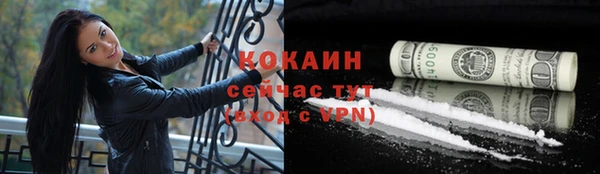 шишки Медвежьегорск