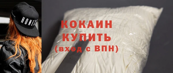 шишки Медвежьегорск