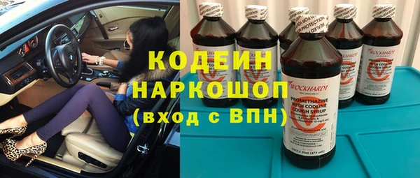 меф Вяземский