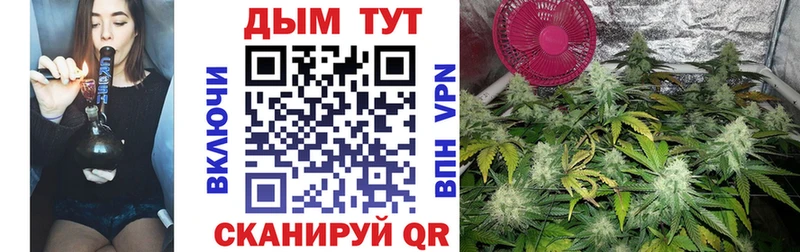 как найти   Давлеканово  Бошки марихуана Amnesia 